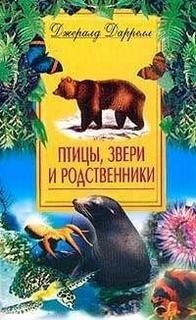 По всему свету: 1.2. Корфу. Птицы, звери и родственники
