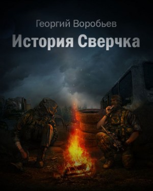 Stalker: История Сверчка