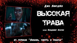 Высокая трава