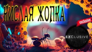 Кислая жопка