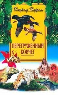 По всему свету: 3. Перегруженный ковчег