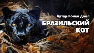 Бразильский кот