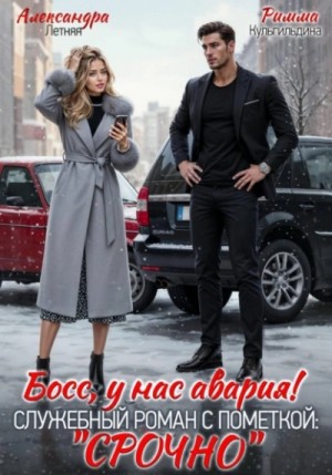 Босс, у нас авария! Служебный роман с пометкой «Срочно»
